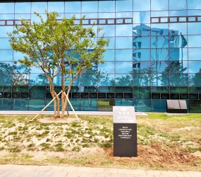 한전KDN 수목안내판02